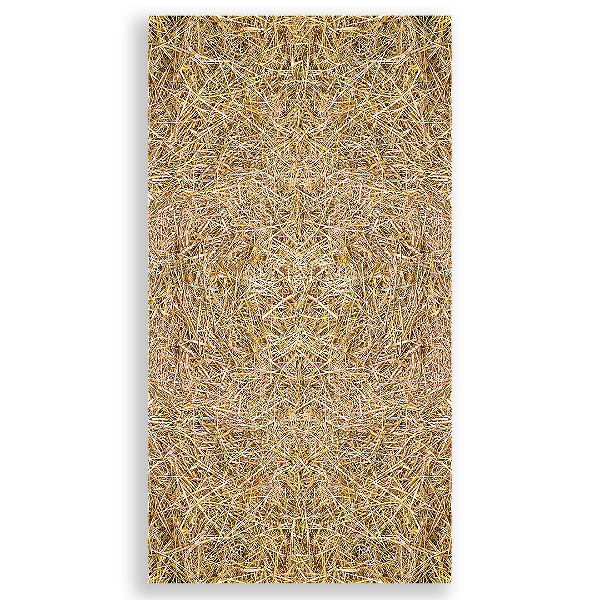 Faixa Lateral Sublimado - Fazendinha