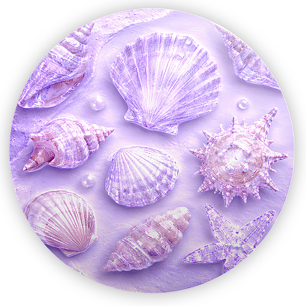 Capa Painel Redondo Sublimado - Fundo do Mar Conchas
