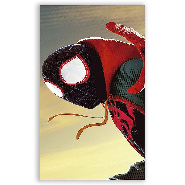 Capa Mini Faixa Lateral Sublimado - Homem Aranha