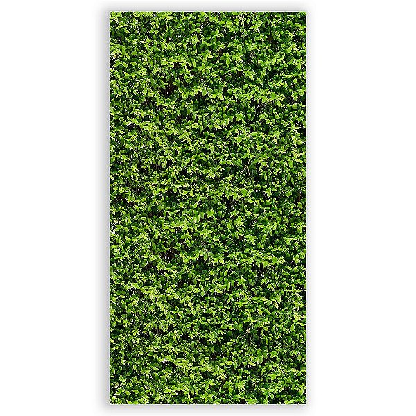 Capa Mini Faixa Lateral Sublimado - Muro Ingles