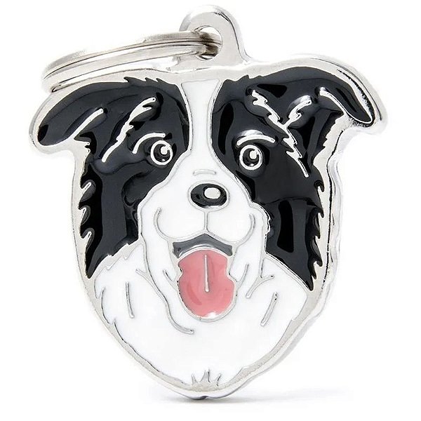Medalha de Identificação em Aço Inoxidável para Cão Border Collie
