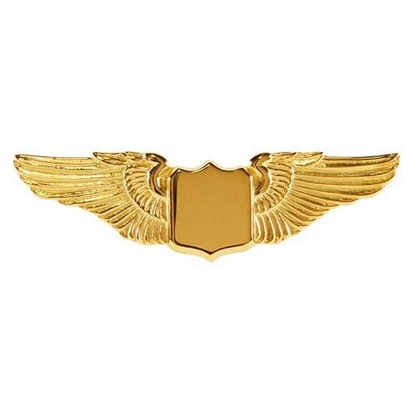 Alfinete em Formato de Asa Médio Tackette Dourado (5.1CM)