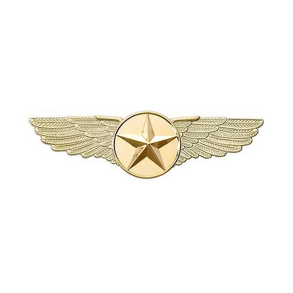 Emblema Estrela Dourada com Asa - Grande (6,4 CM)