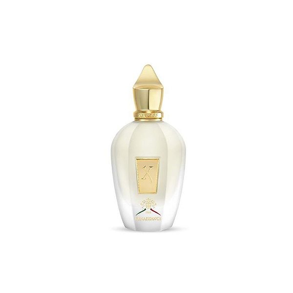 Perfume Xerjoff Renaissance Eau de Parfum Unissex 100ML - Fragrância Luxuosa