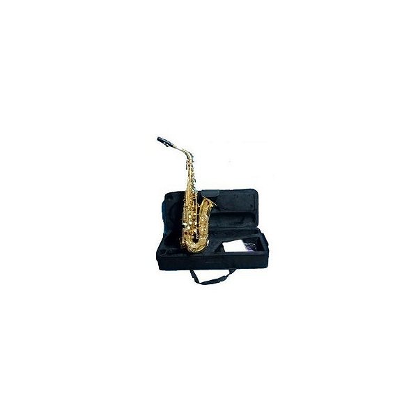 Saxofone Profissional de Fonteaji
