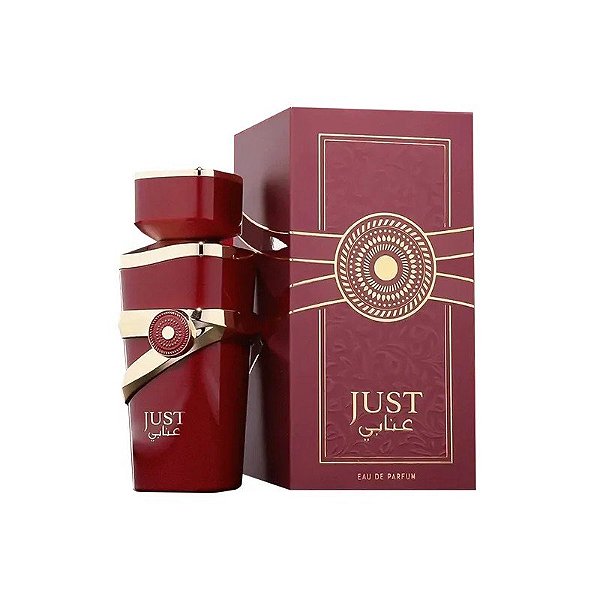 Perfume Fragrance World Just Anabi Eau de Parfum Feminino 100ML