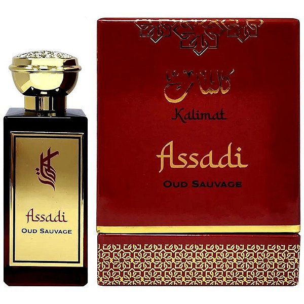 Perfume Kalimat Assadi Oud Sauvage EDP 100mL - Unissex