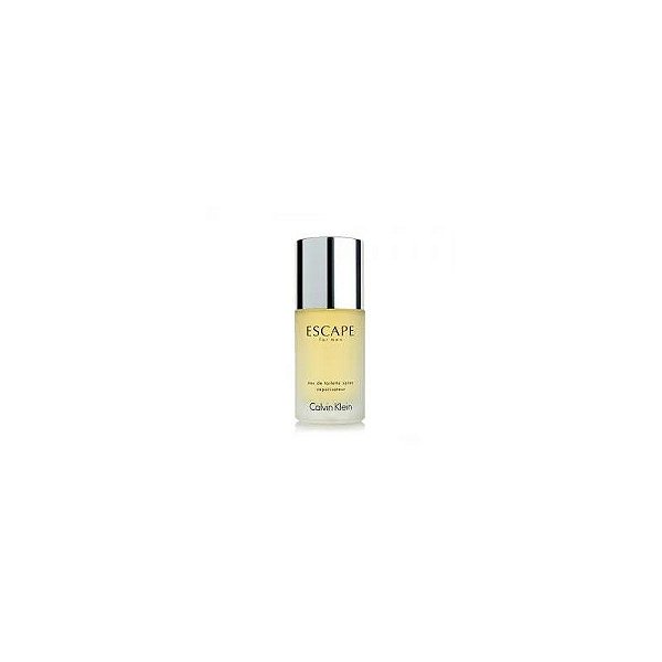 Perfume Calvin Klein Escape Desodorante Colônia Masculino 100ML
