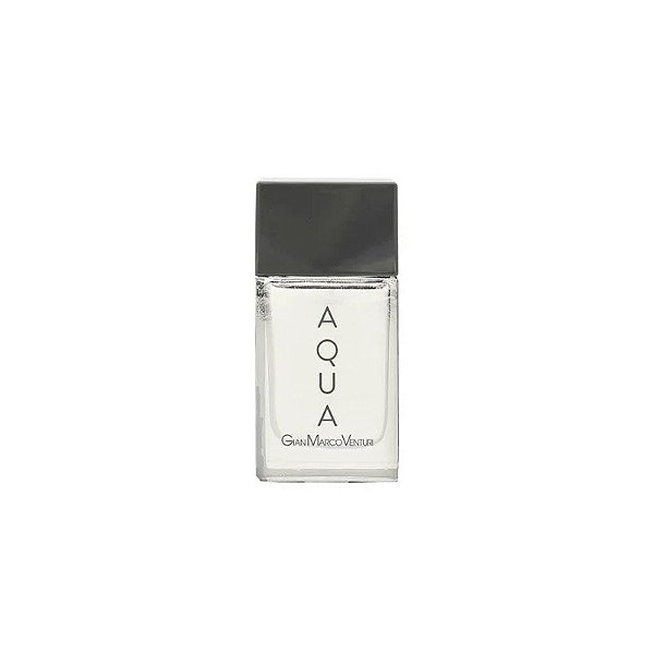 Perfume Masculino Gian Marco Venturi Aqua Edt M 100ML