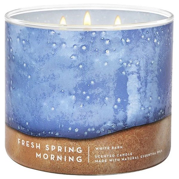 Vela Aromática Bath & Body Works Fresh Spring Morning - 411g