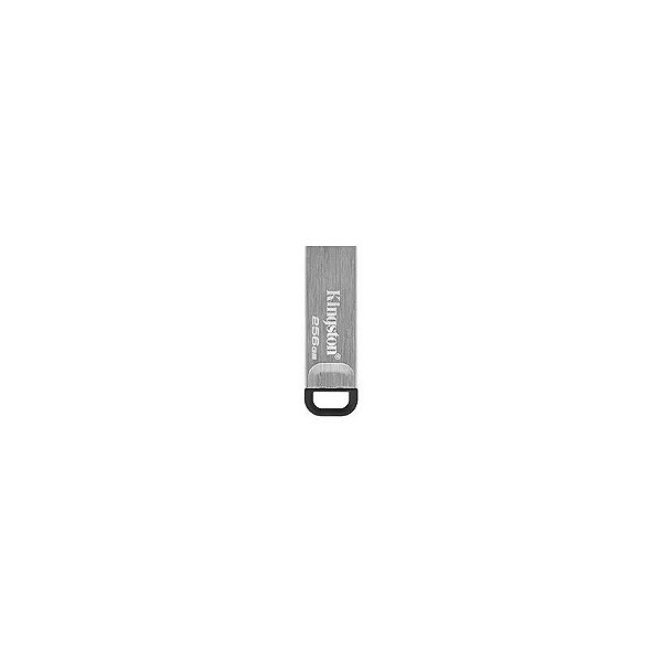 Pen drive Kingston 256GB USB 3.2 - Prata (DTKN/256GB)