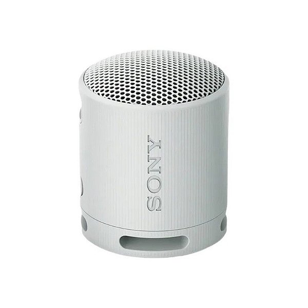 Caixa de Som Portátil Sony SRS-XB100 - Cinza
