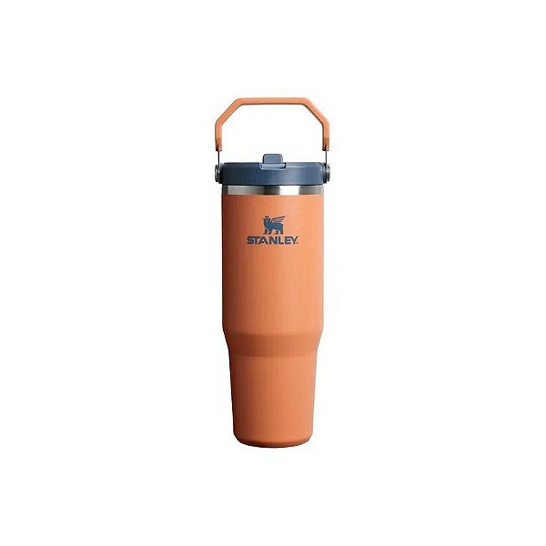 Garrafa Térmica Stanley 887ML Laranja