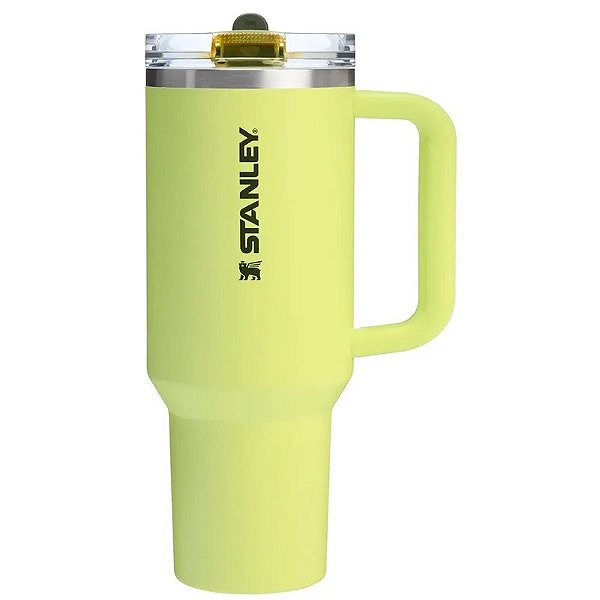 Garrafa Térmica Stanley Quencher Protour Tumbler 10-12486-411 (1,18L) Prickly Pear