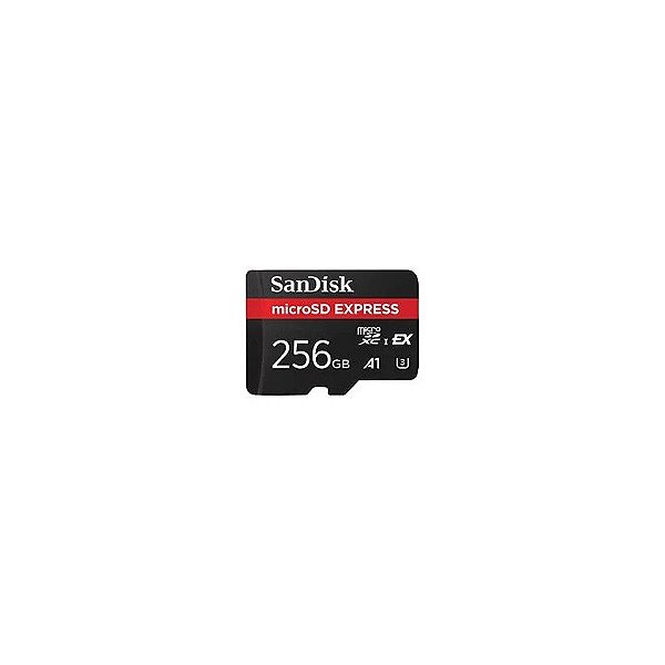 Cartão de Memória Micro SD Sandisk Express A1 U3 5.3K Uhd 256GB - SDSQXFN-256G-GN4NN