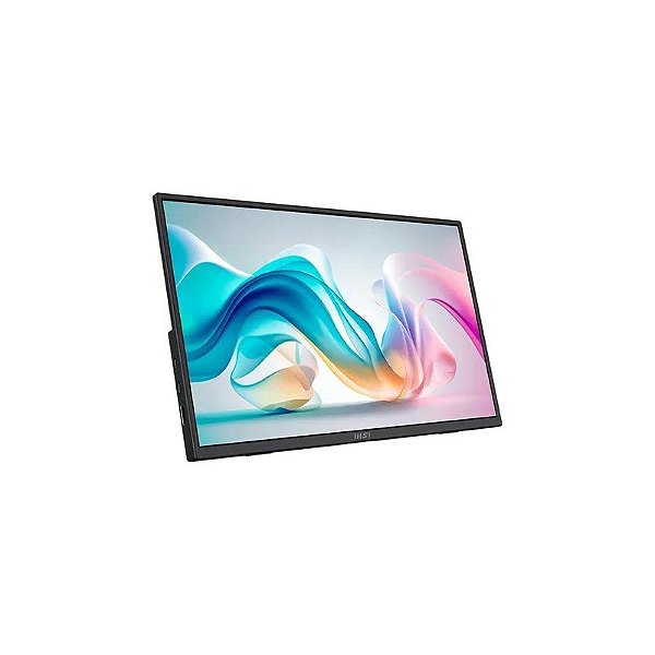 Monitor 15.6" MSI Pro MP165 E6 FHD IPS 4MS Portátil
