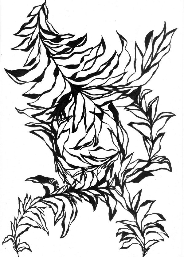 Série 'Que então floresça terra onde já não brota flor'