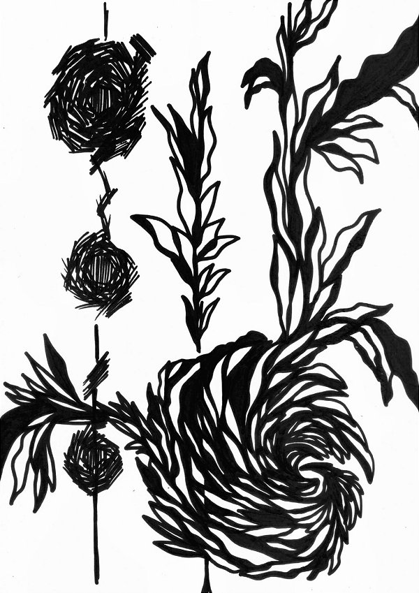 Série 'Que então floresça terra onde já não brota flor'