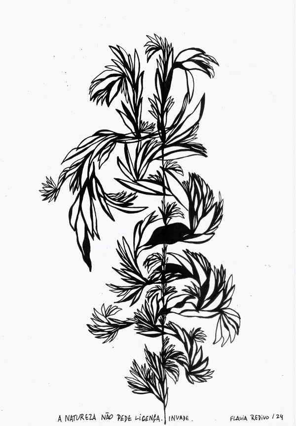 Série 'Que então floresça terra onde já não brota flor'