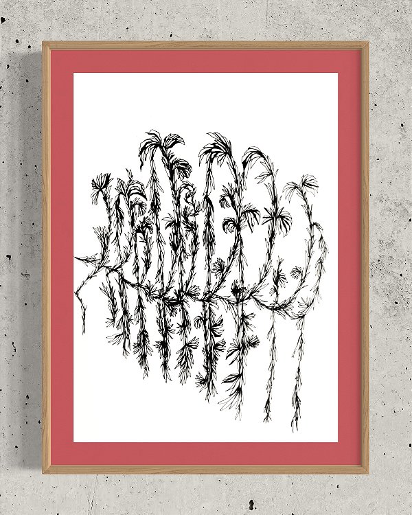 Série 'Que então floresça terra onde já não brota flor'