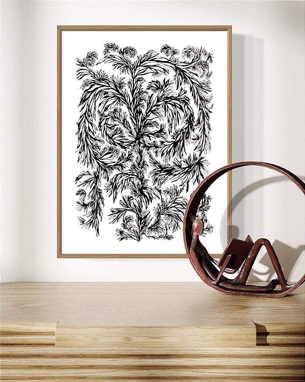 Série 'Que então floresça terra onde já não brota flor'