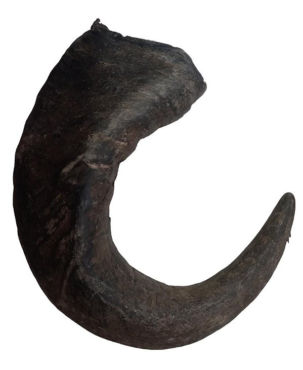 CHIFRE DE BUFALO UNID