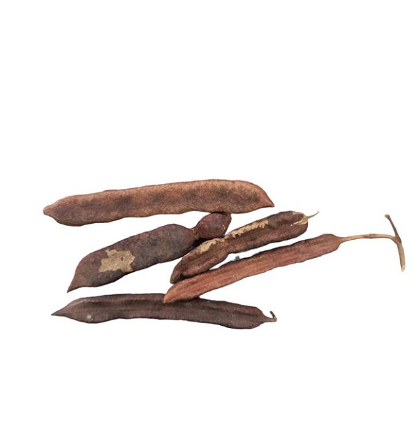 FAVA XOROQUE UNID