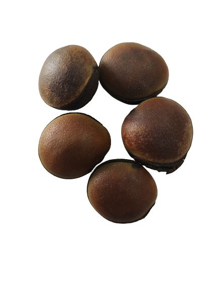 FAVA OLHO DE CABRA UNID