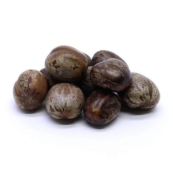 FAVA DE OMOLU UNID