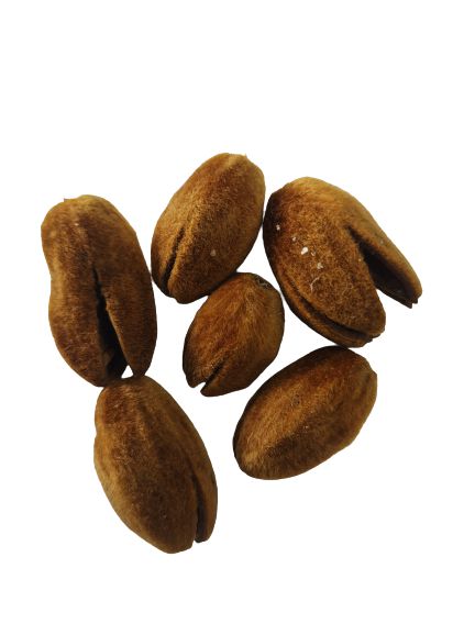 FAVA DE OBARA UNID