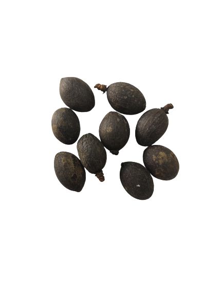 FAVA DE OBALUAE UNID
