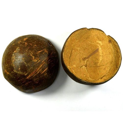 COITE DE COCO