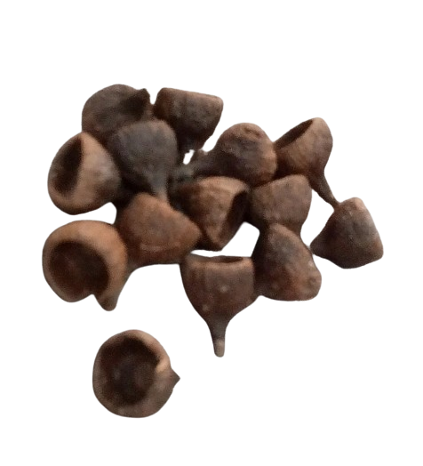 FAVA DE OLHO GRANDE UNID