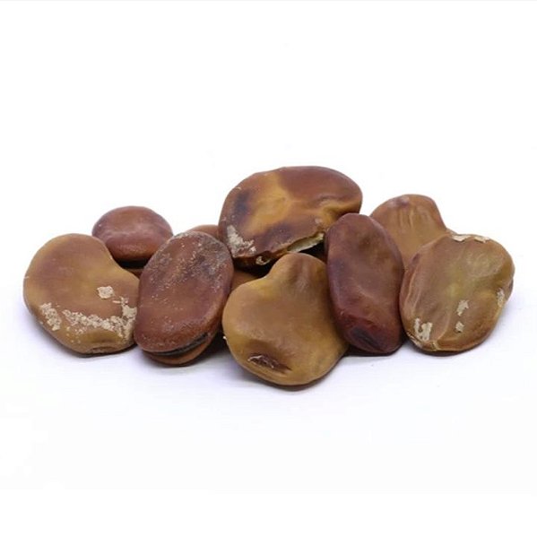 FAVA XANGO UNID