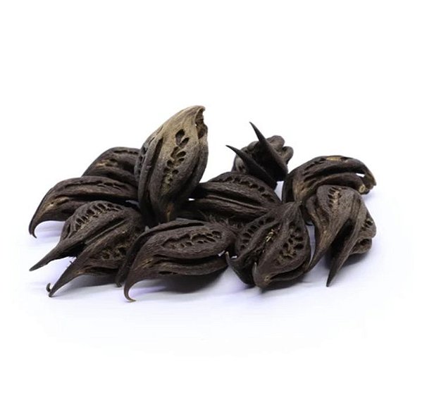 FAVA UNHA DE POMBA GIRA OU EXU UNID