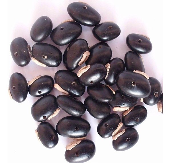 FAVA PRETO VELHO UNID