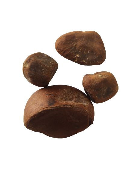 FAVA DE OXUM UNID