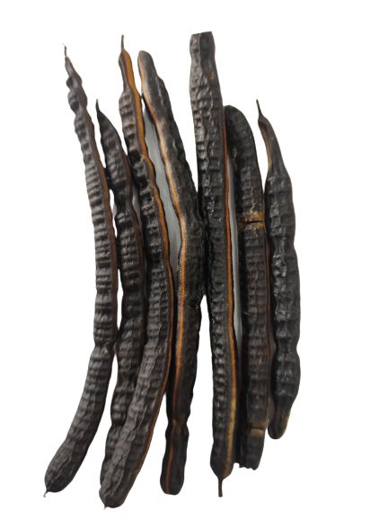 FAVA NANA UNID