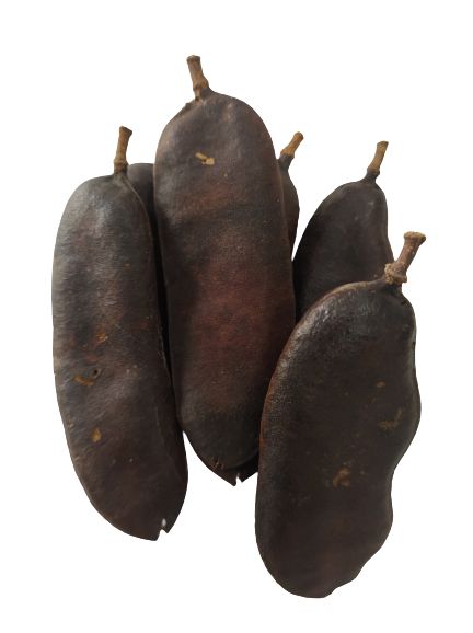 FAVA JUCA UNID