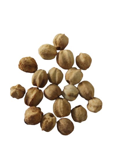 FAVA CHAMA DINHEIRO UNID