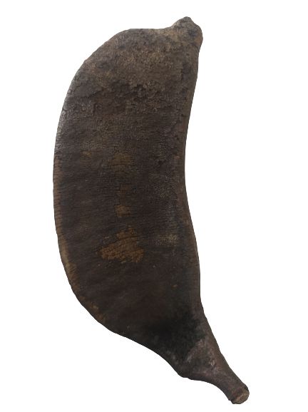 FAVA ANDARA UNID