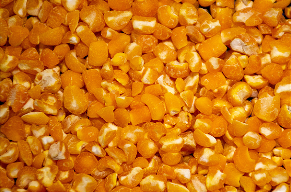 CANJICA VERMELHA 500GR