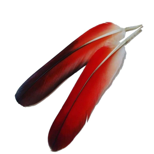 PENA IKODIDE