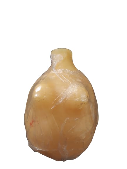 VESICULA DE CERA