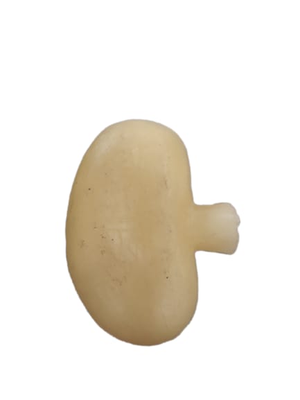 RINS DE CERA CRIANCA