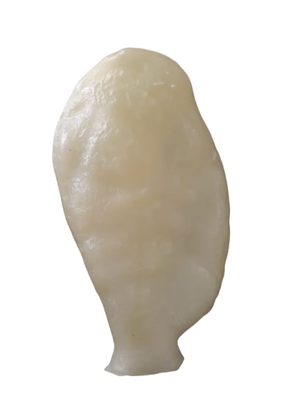INTESTINO DE CERA