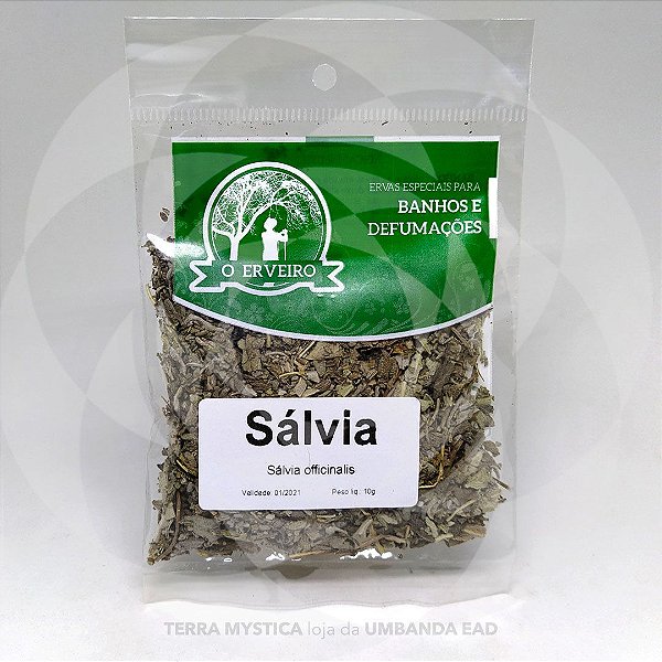 ERVA - SÁLVIA  - O ERVEIRO