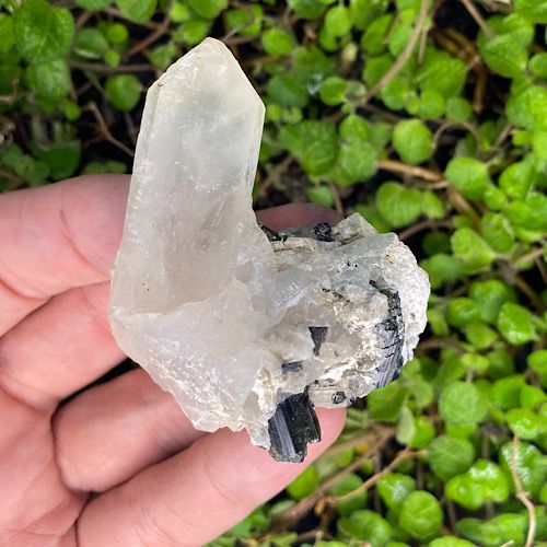 Ponta de Cristal com Turmalina Melancia - Amor e Cura Emocional
