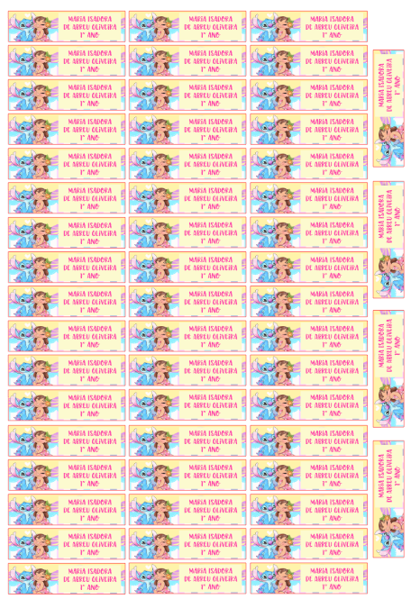 Etiqueta Adesiva Escolar Personalizada - Lápis Diversos Temas