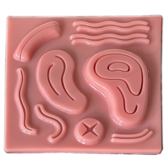 N3 - PRÁTICA DE SUTURAS